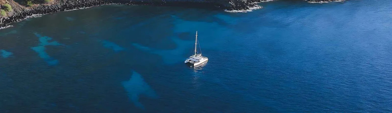 Best Snorkeling Spots in Maui: Complete Beach & Location Guide