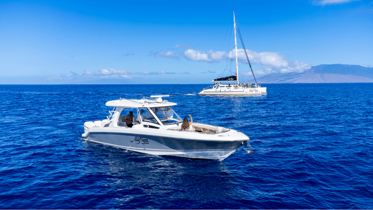 Two boats on open blue sea under a clear sky, a speedboat in the foreground and a sailboat in the background.