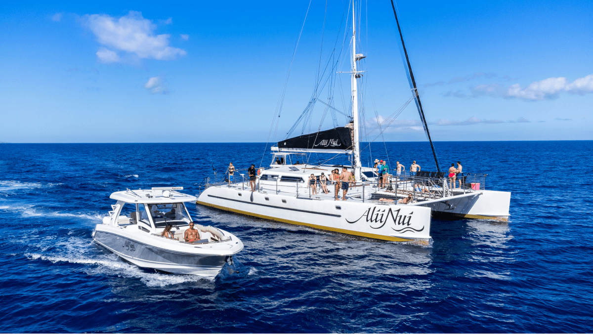 Two boats in open sea, a white catamaran with people and a smaller motorboat nearby under a blue sky.