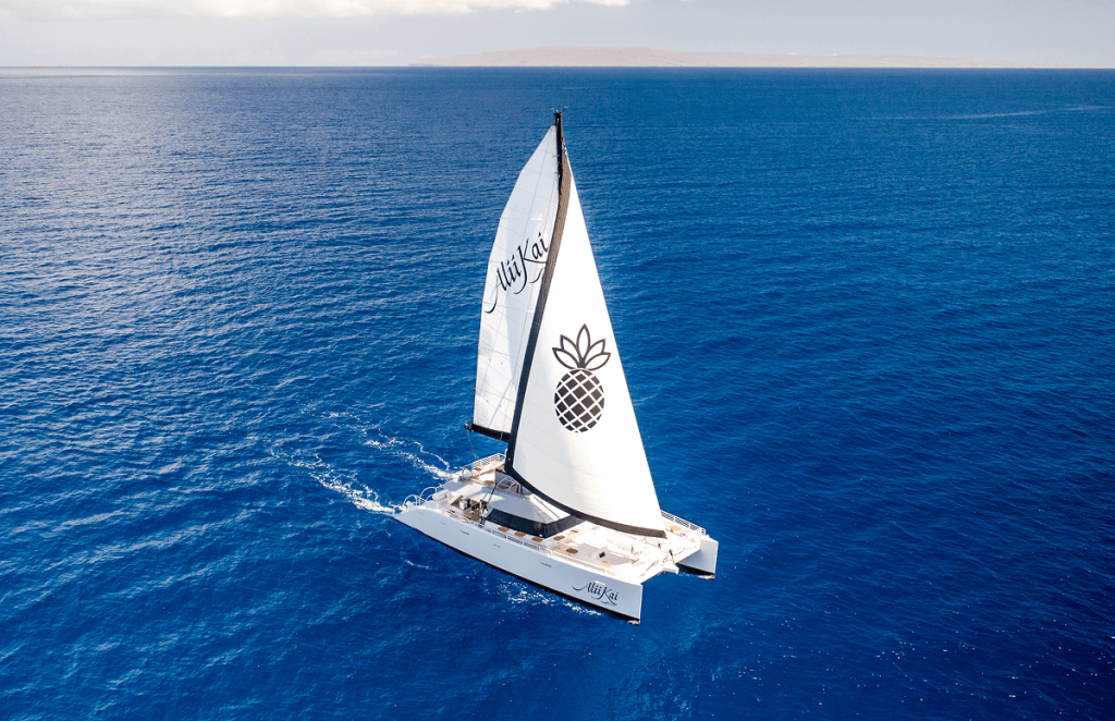 Sailboat with pineapple logo sailing on open blue ocean.
