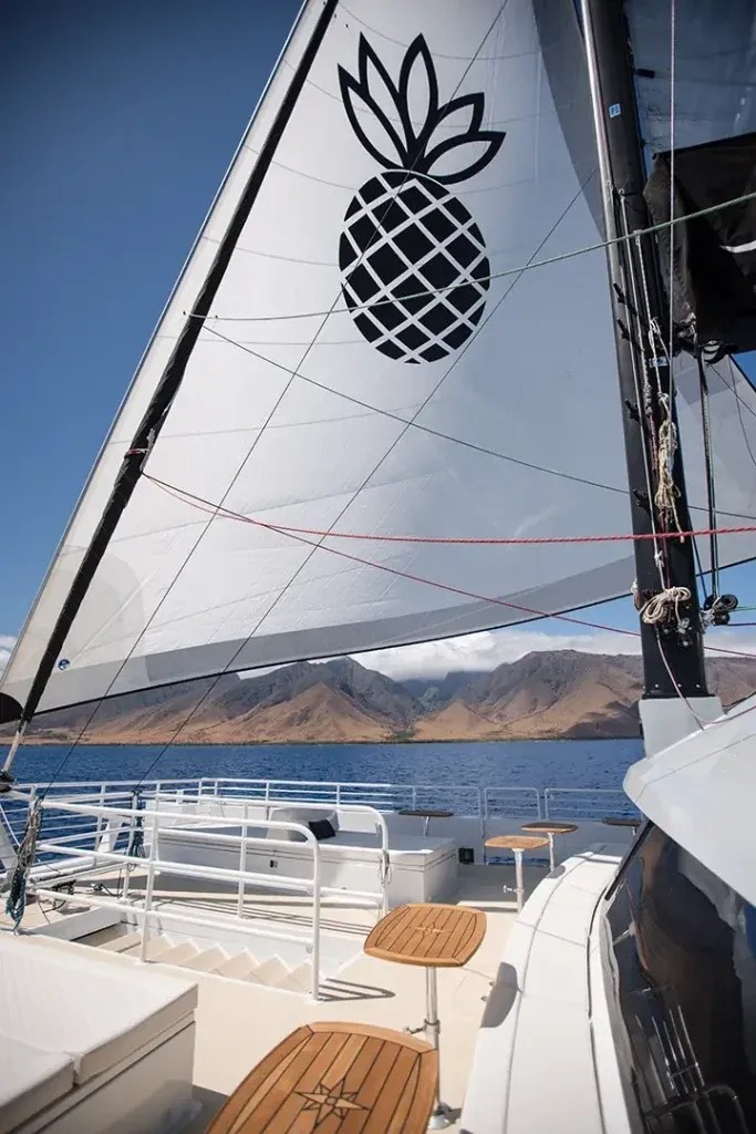 Sailboat with a pineapple design on the sail, cruising near distant mountains.