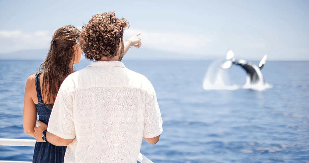 Two people on a boat watching a whale breach in the ocean.