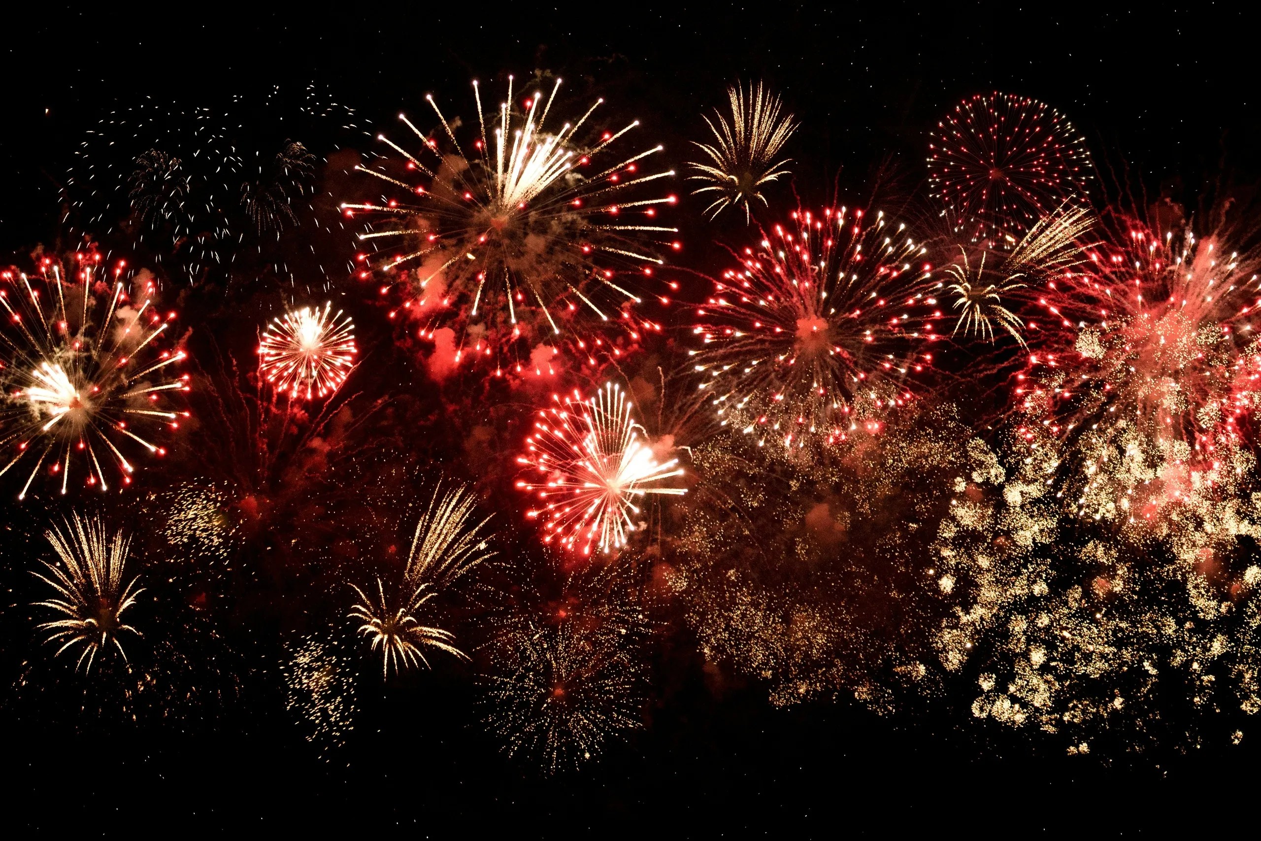 Colorful fireworks burst against a dark night sky.