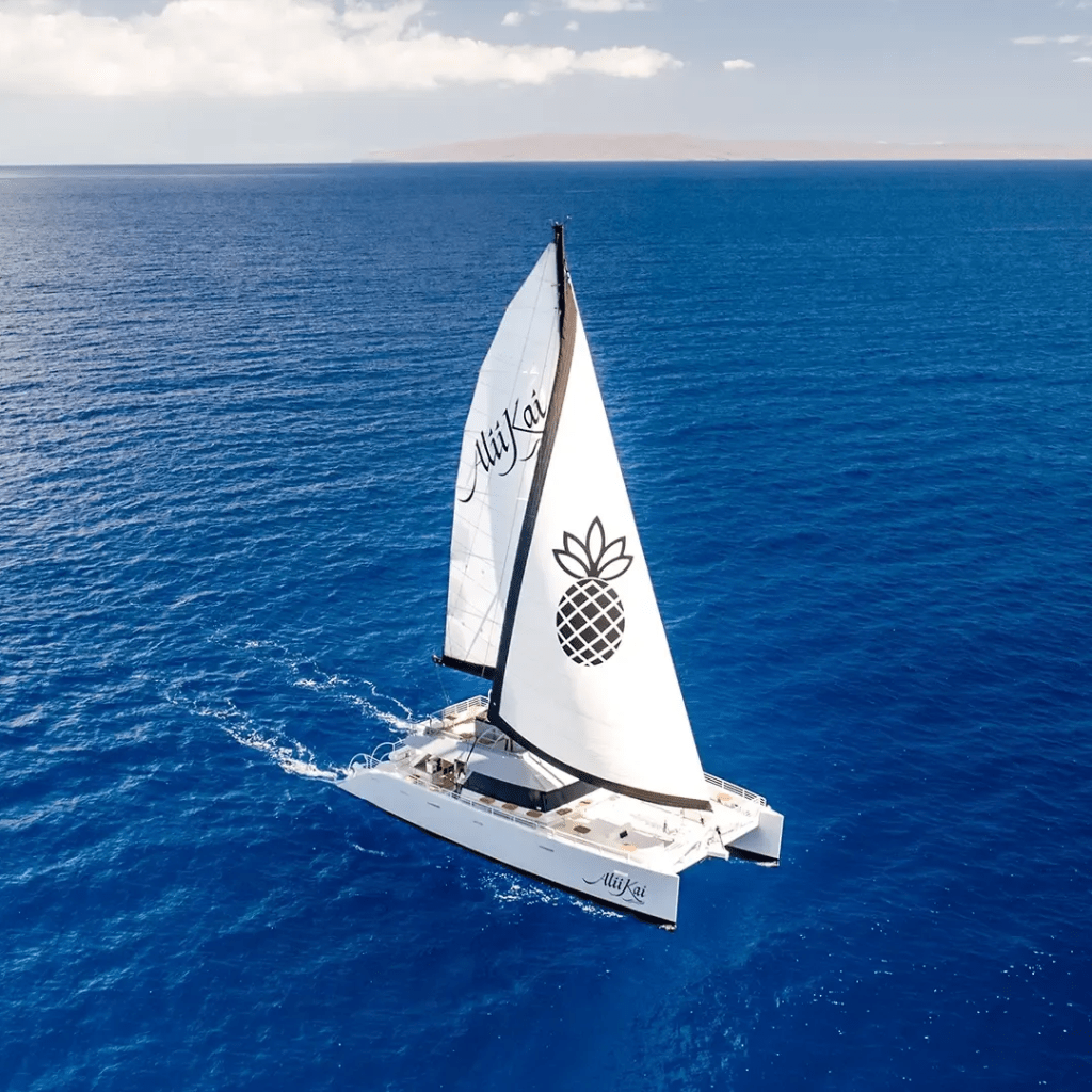 White sailboat on blue ocean with pineapple design on sail.